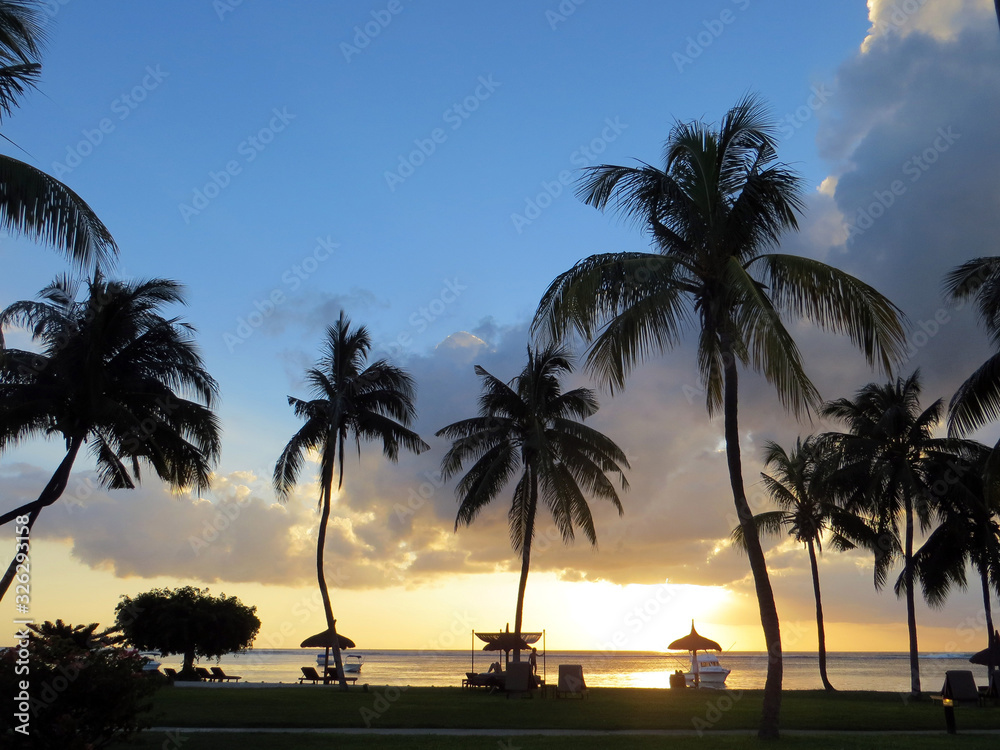 Obraz premium tropical sea sunset with palm silhouettes