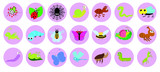 Round icons for stories in social networks, instagram, Facebook. Perfect for bloggers. Set of insect icons. Kawaii. Flat design. Isolated on white background. Vector