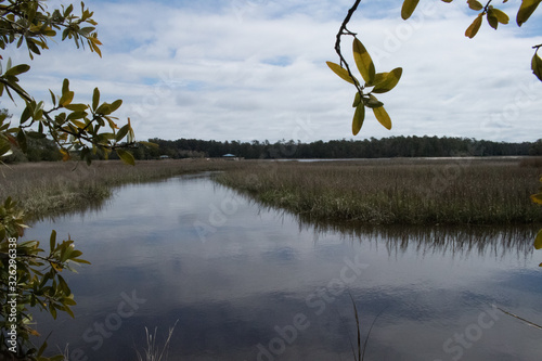 marsh