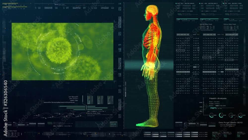 Advance head up display virtual biomedical holographic human body scan ...