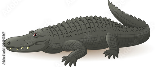 Cartoon grey alligator isolated on white background