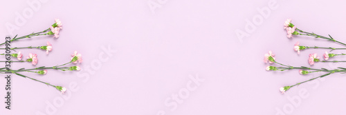 Banner with pink carnation flowers on a purple pastel background. Floral comp...