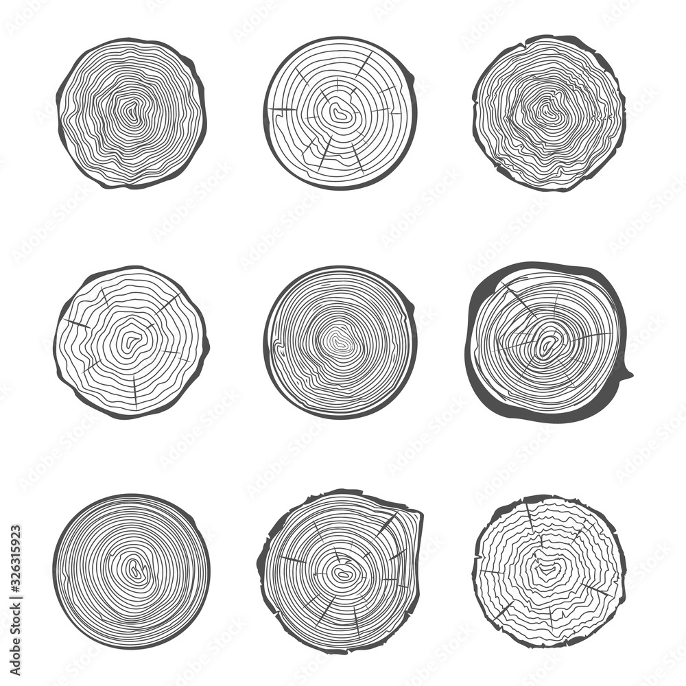 Cut tree rings background saw cut tree trunk natural decorative design set vector illustration