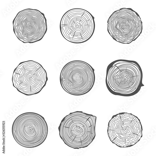 Cut tree rings background saw cut tree trunk natural decorative design set vector illustration