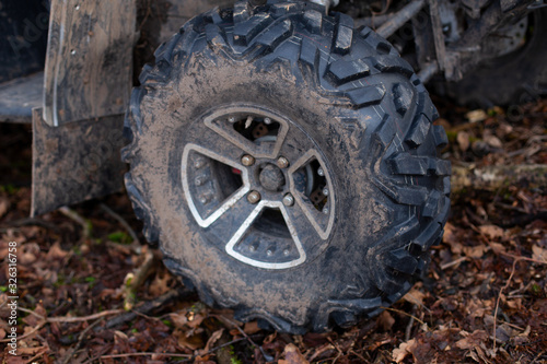 Close-up of a huge buggy wheel in old and wet foliage