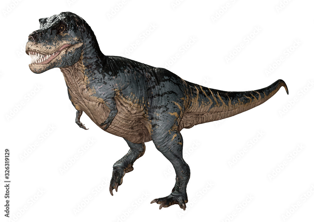 3D Rendering Tyrannosaurus Rex on White 3D Rendering Tyrannosaurus Rex on White