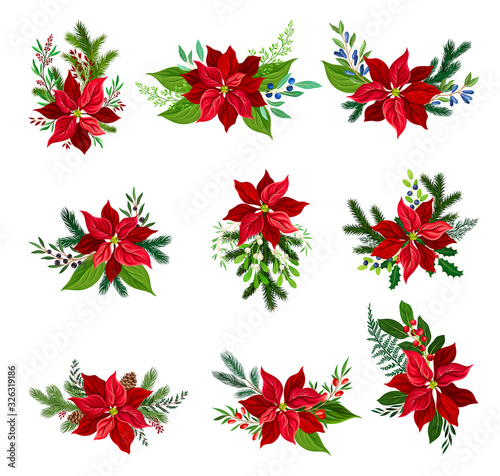 Christmas Flower Arrangements with Fir Tree Twigs and Mistletoe Branches Vector Set photo