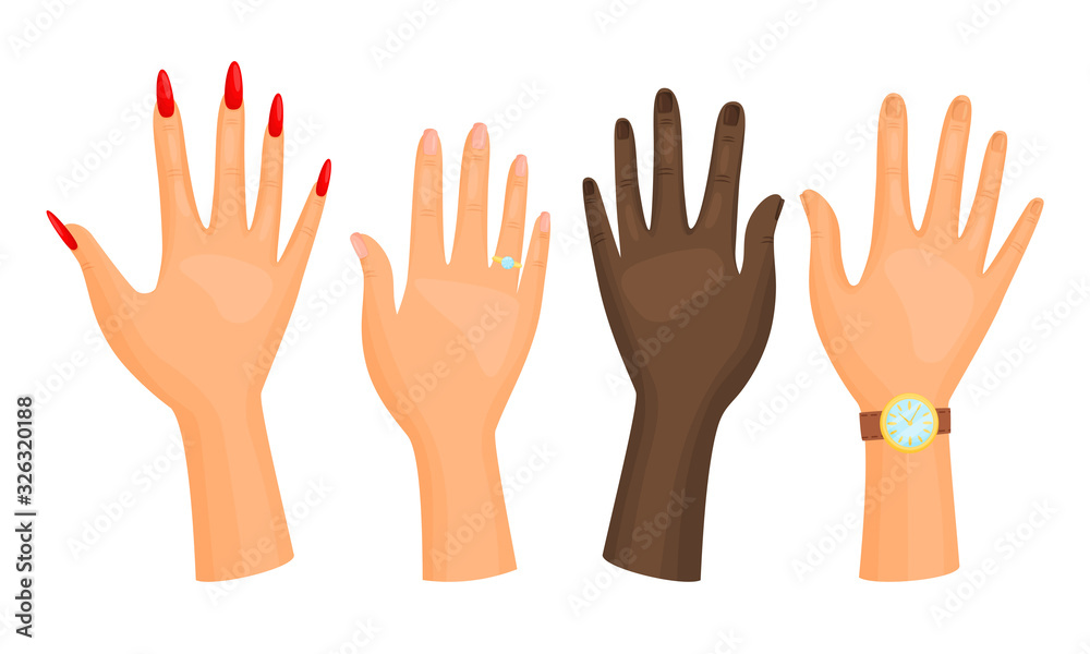 Fototapeta premium Different Hands with Ring and Watch Isolated on White Background Vector Set
