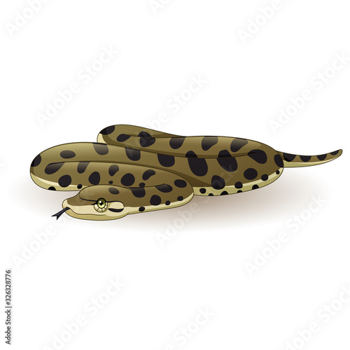 Cartoon anaconda snake on white background