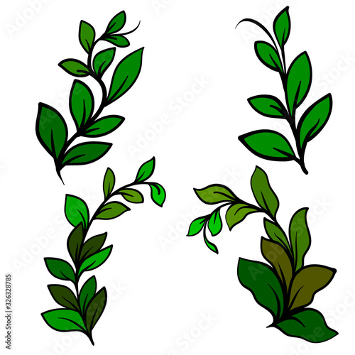 sprig of green leaves on a white background  vector illustration
