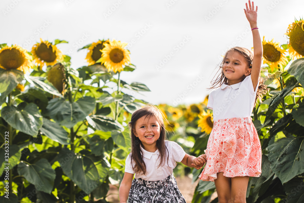 Little girls among of a sunflower among a field of sunflowers in the evening. Summer concept Little girls among of a sunflower among a field of sunflowers in the evening. Summer concept
