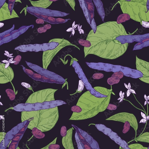 Colorful black beans pods and grains seamless pattern. Stem, leaves and flowe...