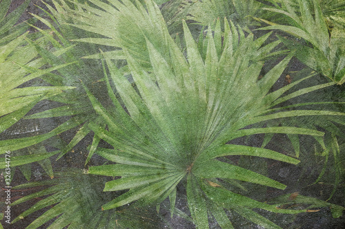 Concrete with a tropical plant pattern. Textural decorative background for design.