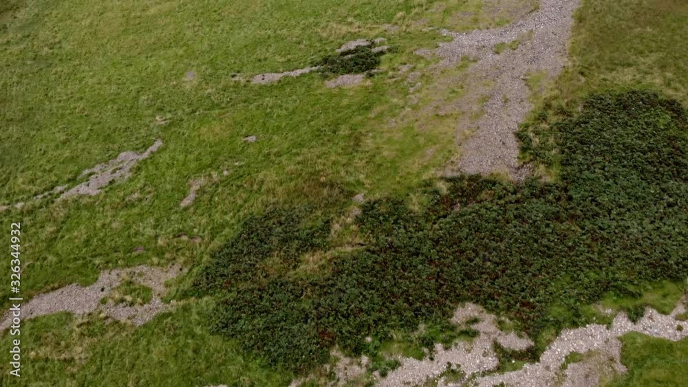 Top down aerial shot, flying low over grass and. bracken. Shot pans slowly upwards to reveal a wide view of the lush, green valley of Glen Coe in Scotland. Top down aerial shot, flying low over grass and. bracken. Shot pans slowly upwards to reveal a wide view of the lush, green valley of Glen Coe in Scotland.