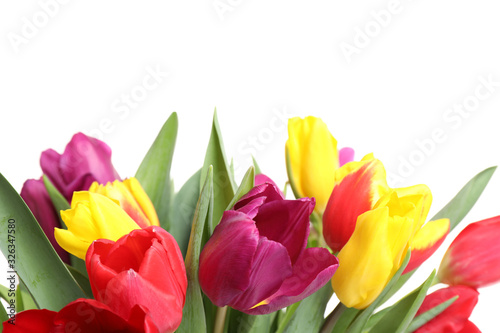 Beautiful bright spring tulips on white background