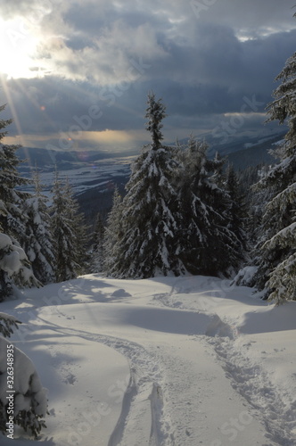 zimowe widoki w Niżnych Tatrach © Tomek