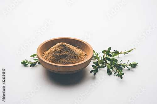 Bacopa monnieri herb plant or Ayurvedic  Brahmi plant with powder in a bowl  selective focus