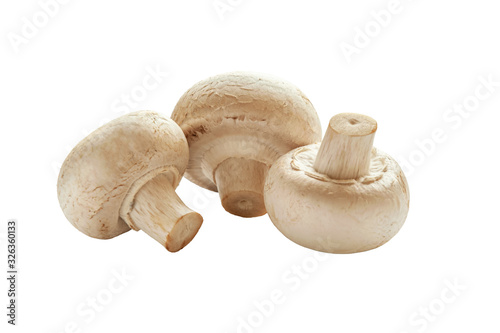 fresh raw champignons isolated on white close up