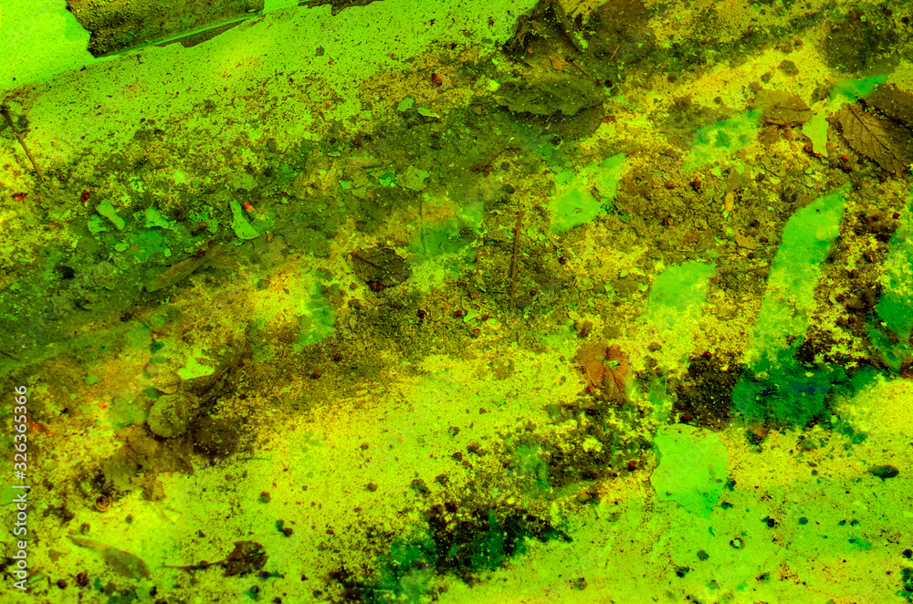 A view of the bottom of an old abandoned pool A view of the bottom of an old abandoned pool