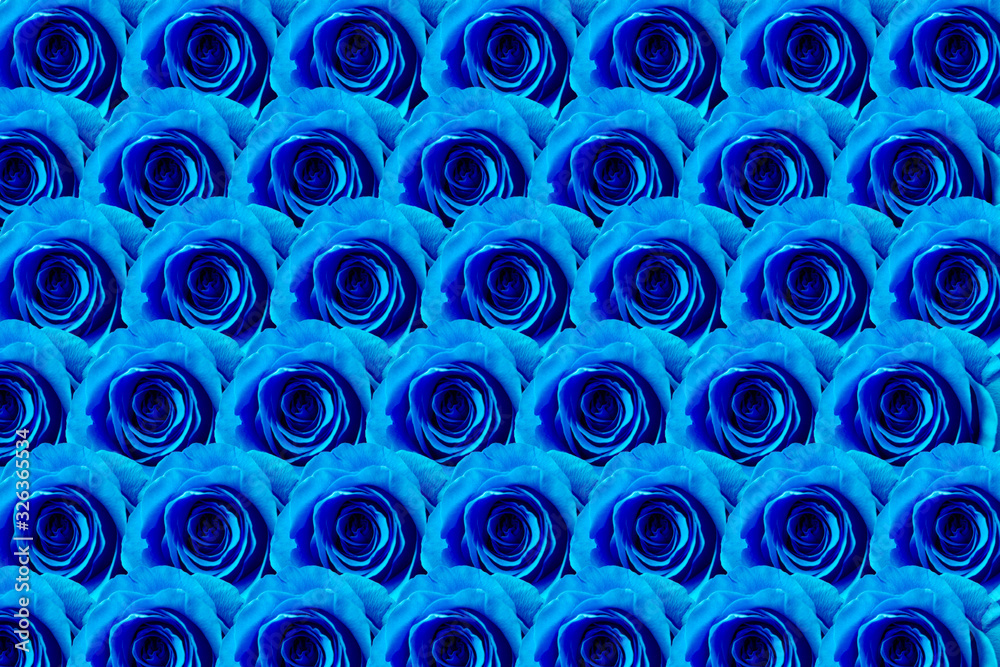 Blue roses pattern. Surreal flower background. Trendy color floral backdrop. Contemporary design Blue roses pattern. Surreal flower background. Trendy color floral backdrop. Contemporary design