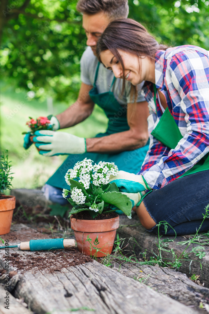 Young loving couple have fun with gardening work on a wooden floor during spring day - Millennial are dressed with green aprons - obrazy, fototapety, plakaty 