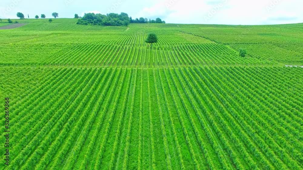 Aerial view from panorama of fields and pathways; stunning green fields Aerial view from panorama of fields and pathways; stunning green fields