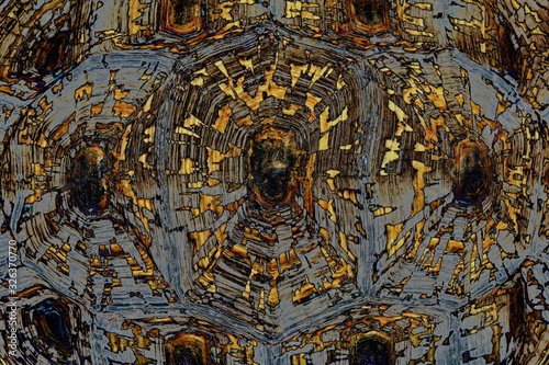 Schildkröten Panzer Pattern gold 1 7063