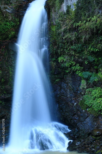 河津七滝　大滝