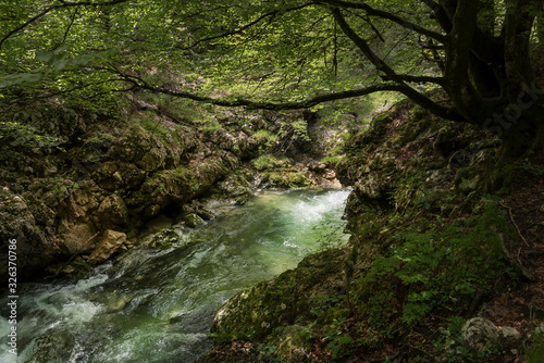 Mostnica - Klamm