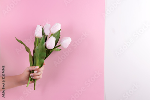 Greeting card with woman's hands holding freshly picked aromatic tulips flower against duotone colorful wall. © YuliiaMazurkevych