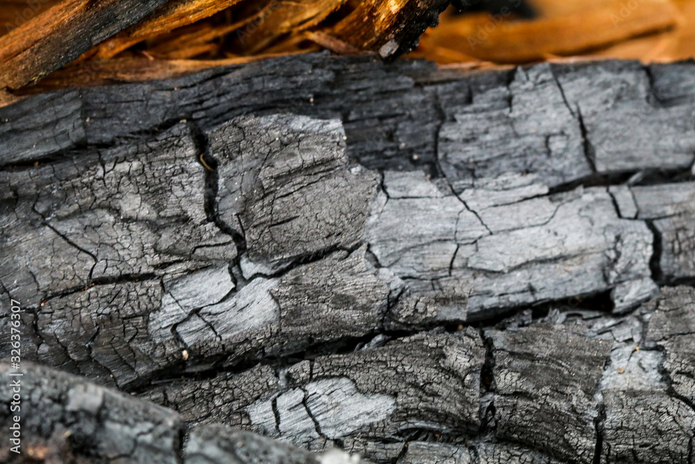 bark of a tree burnt texture bark of a tree burnt texture