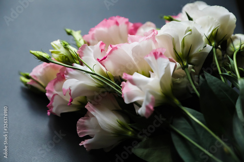 Delicate eustoma flowers of white and pink colors on a black background