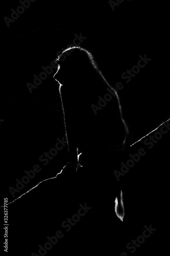 Mono silhouette of olive baboon in darkness
