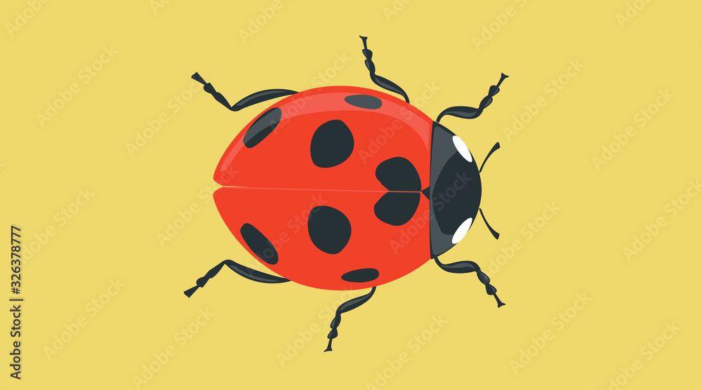 Vector Isolated Illustration of a Ladybug Vector Isolated Illustration of a Ladybug