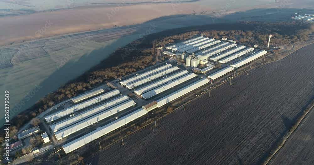 Aerial view of modern pig farm. Livestock farm. Farm for growing pigs. Aerial view of modern pig farm. Livestock farm. Farm for growing pigs.