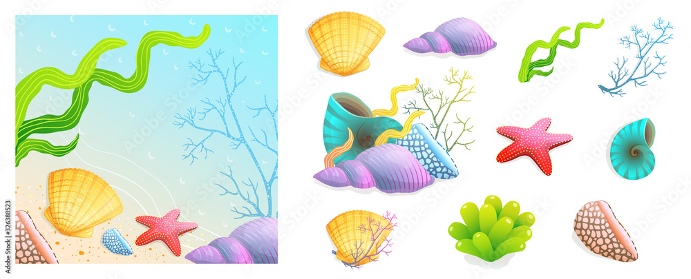 Collection of sea shells, sea star, scallop and corals with ready beach vacation and recreation design. Collection of sea shells, sea star, scallop and corals with ready beach vacation and recreation design.