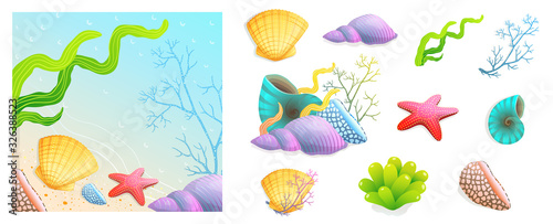 Collection of sea shells, sea star, scallop and corals with ready beach vacation and recreation design.