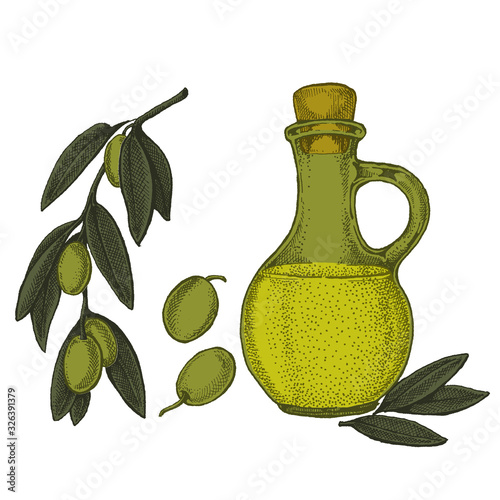 Bottle with olives and olive oil. Vintage retro style illustration for package. Cosmetic with olive oil and organic farm healthy food