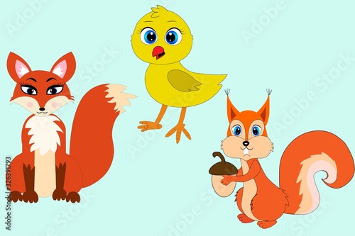 set of chicken cat squirrel animal illustration 