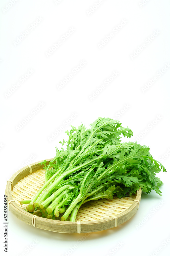 春菊 春菊