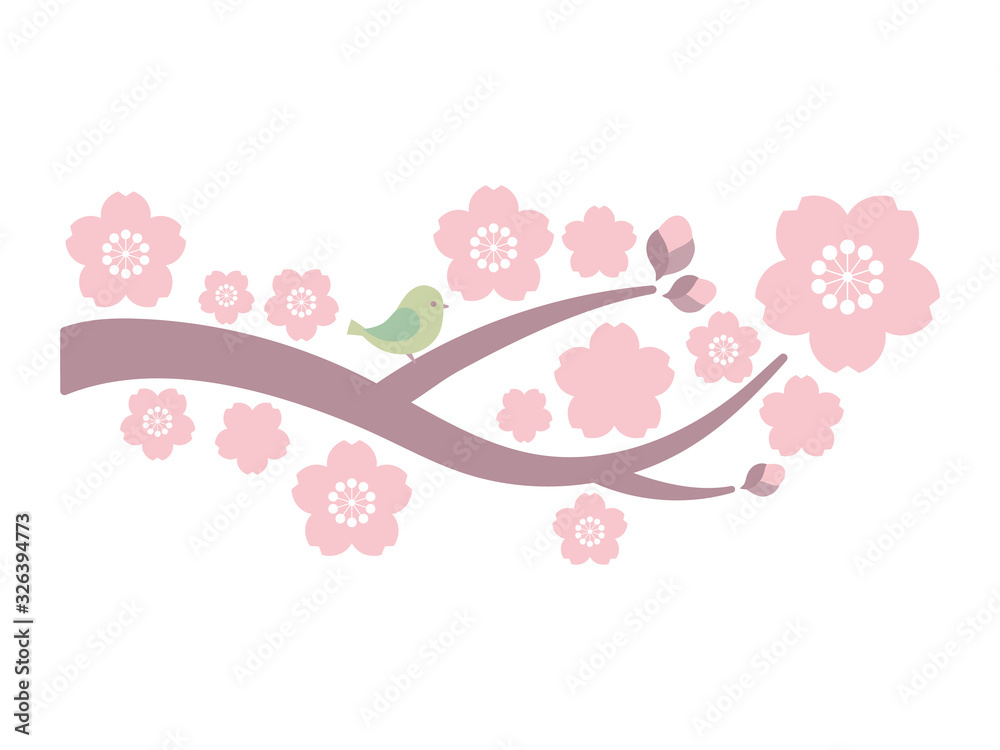 Fototapeta premium 素材＿桜と鳥