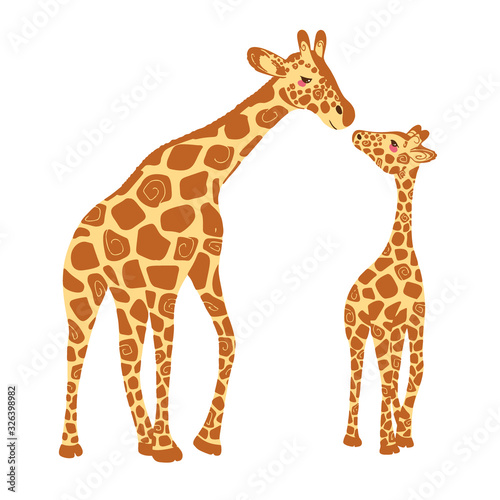 Two cute giraffes isolated on a white background. Baby giraffe and adult giraffe. Vector