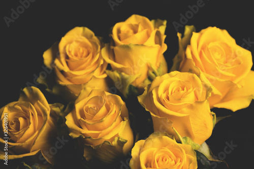 Bouquet of beautiful yellow roses close up on dark background with garland lights. Abstract backdrop for seasonal cards  posters  blogs and web design.