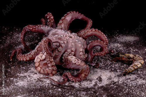 Big octopus with king prawn in curly tentacle on black background