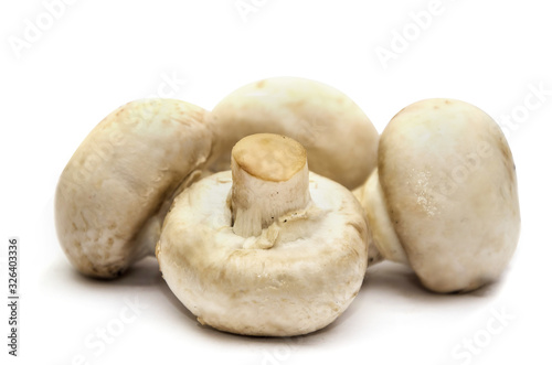 porcini mushrooms, champignons on a white background.