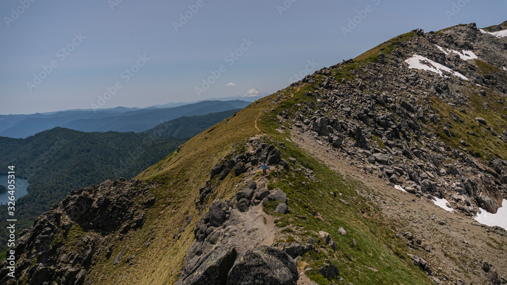 Volcán, árbol, naturaleza, bosque, meditación, verde, asombro, camino, volcan, lagos, montañas, sendero, trekking, caminata, senderismo, de naturaleza, araucaria, milenario, contemplación Volcán, árbol, naturaleza, bosque, meditación, verde, asombro, camino, volcan, lagos, montañas, sendero, trekking, caminata, senderismo, de naturaleza, araucaria, milenario, contemplación