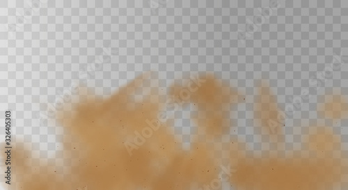 3d realistic dust cloud isolated on a transparent background.Brown dusty cloud or dry sand flying with a gust of wind. 