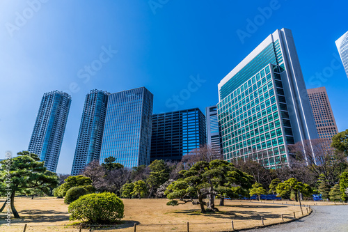                                          Tokyo Skyscraper  