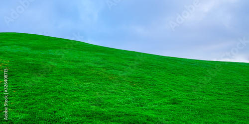 fresh real green grass lawn on hill with blue cloud sky