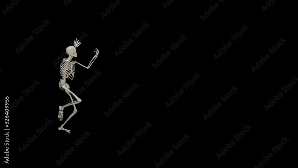 Funny Skeleton Funny Skeleton